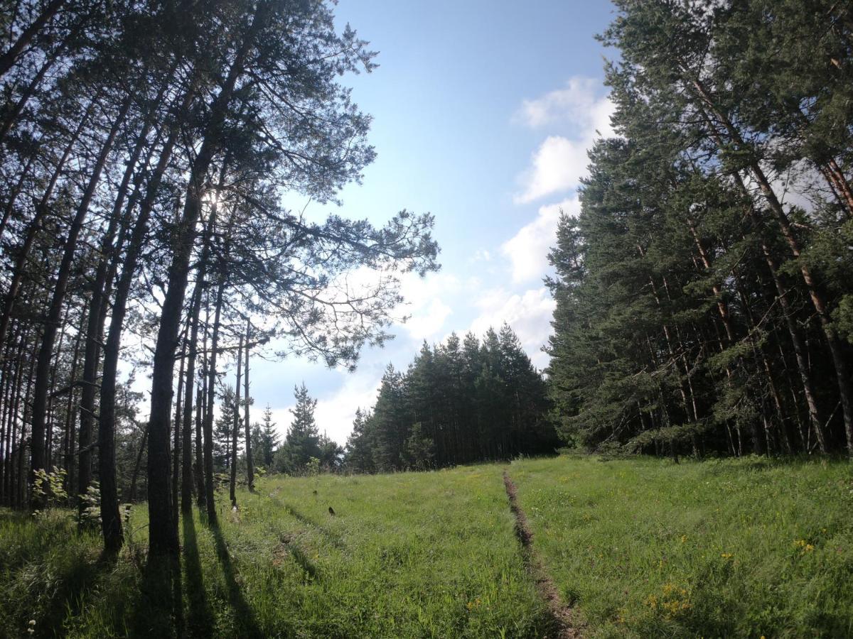 Carobni Breg Hotell Mokra Gora Exteriör bild