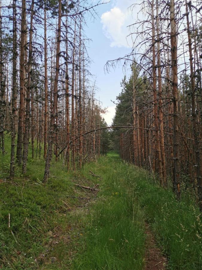 Carobni Breg Hotell Mokra Gora Exteriör bild
